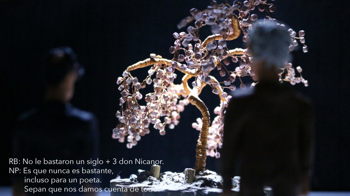 006 mirando el arbol