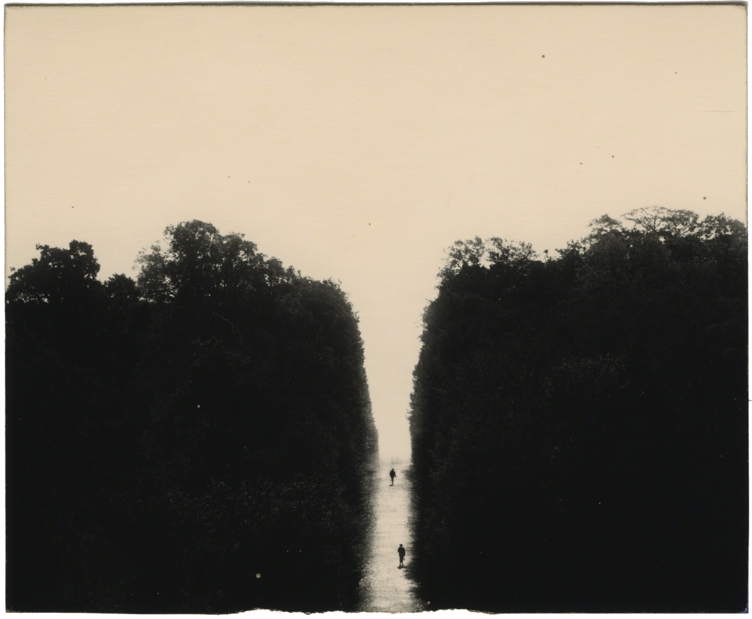 masao-yamamoto-010