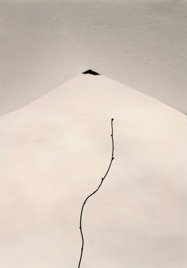 masao-yamamoto-05