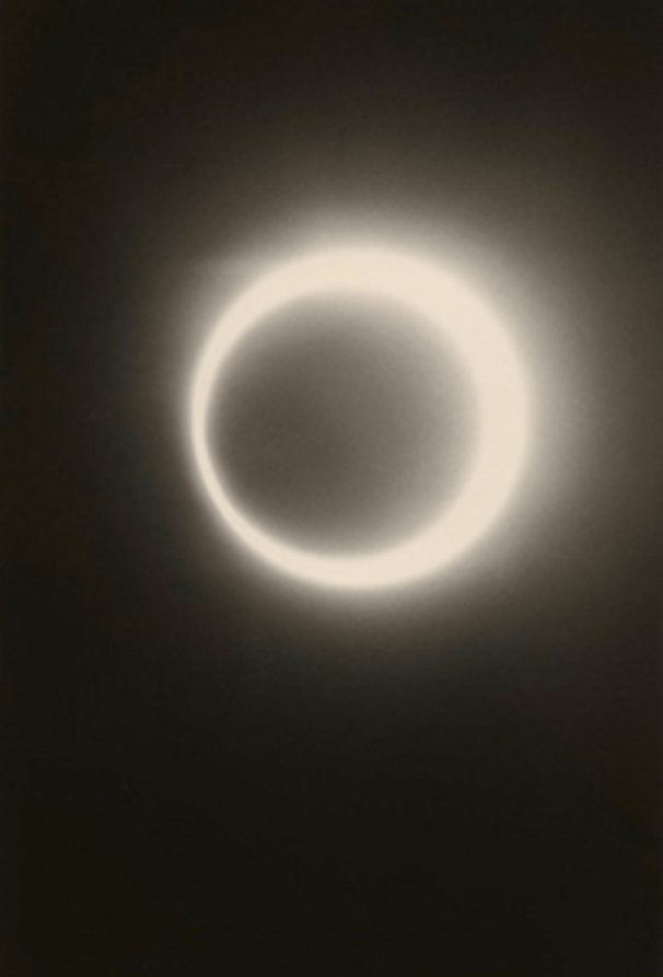 masao-yamamoto01